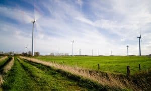 Světová větrná energetika posílila v loňském roce o 40 %