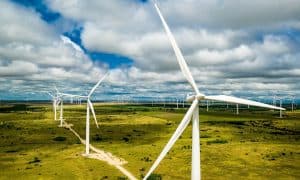 Němečtí Zelení požadují přísnější pravidla pro úlevy z regulovaných poplatků pro elektrolyzéry